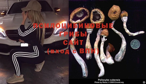 каннабис Арсеньев