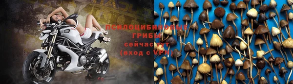 каннабис Арсеньев